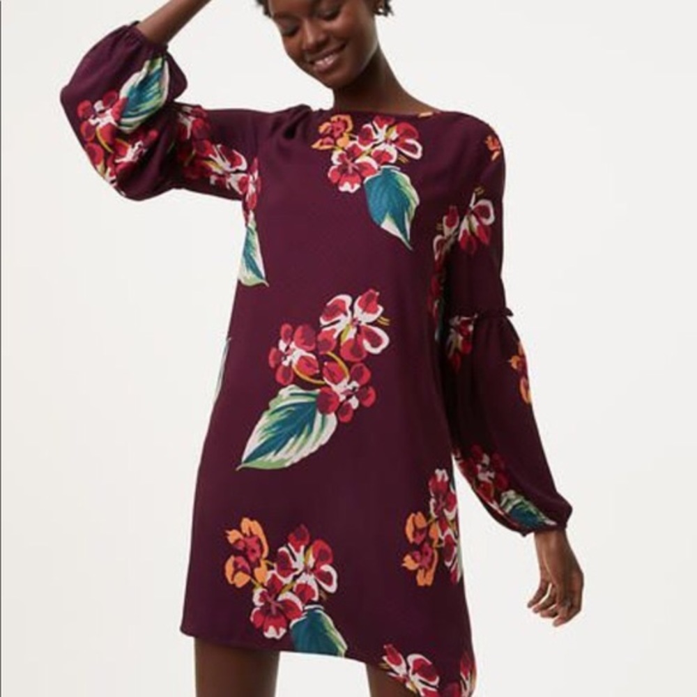 Loft - Autumn Luau Ruffle Blouson Dress